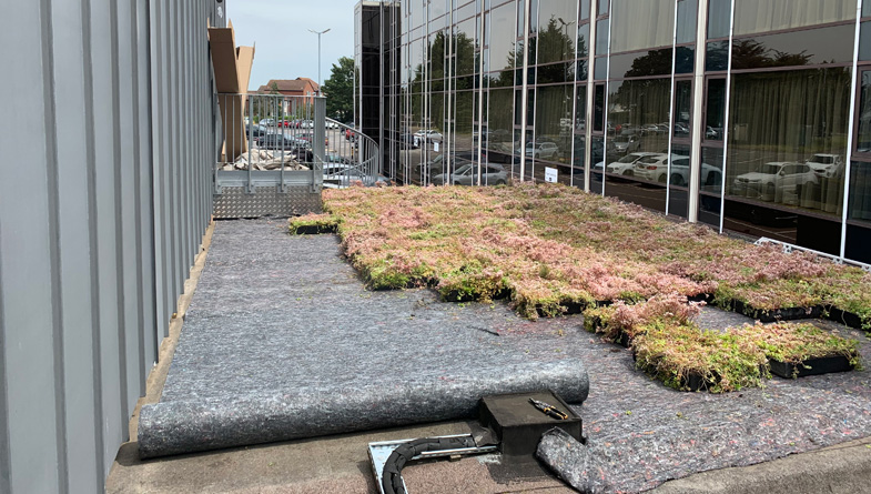 Utilising Green Roofs As Part Of SuDS