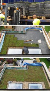 The different stages of a green roof installation