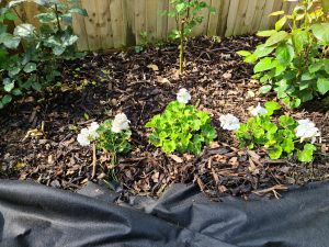 Weed Control Geotextile Membrane