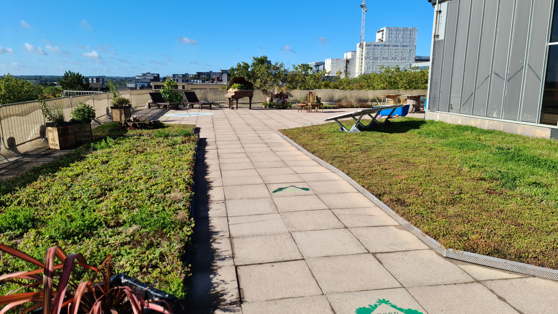 The Green Roof Project at Saxon Court