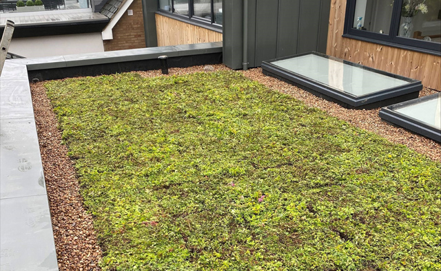 Maintenance Schedule for Wallbarn M-Tray® Green Roof Systems