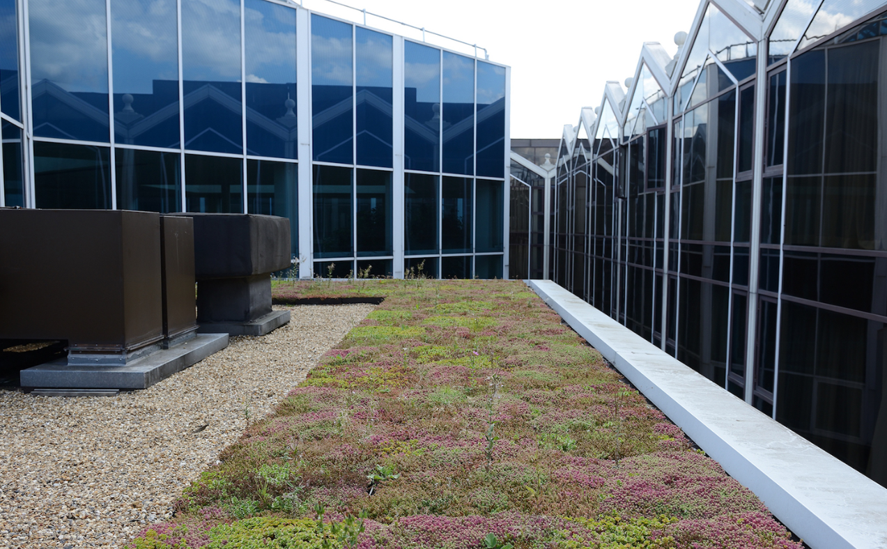 What Are The Key Benefits of a Green Roof?