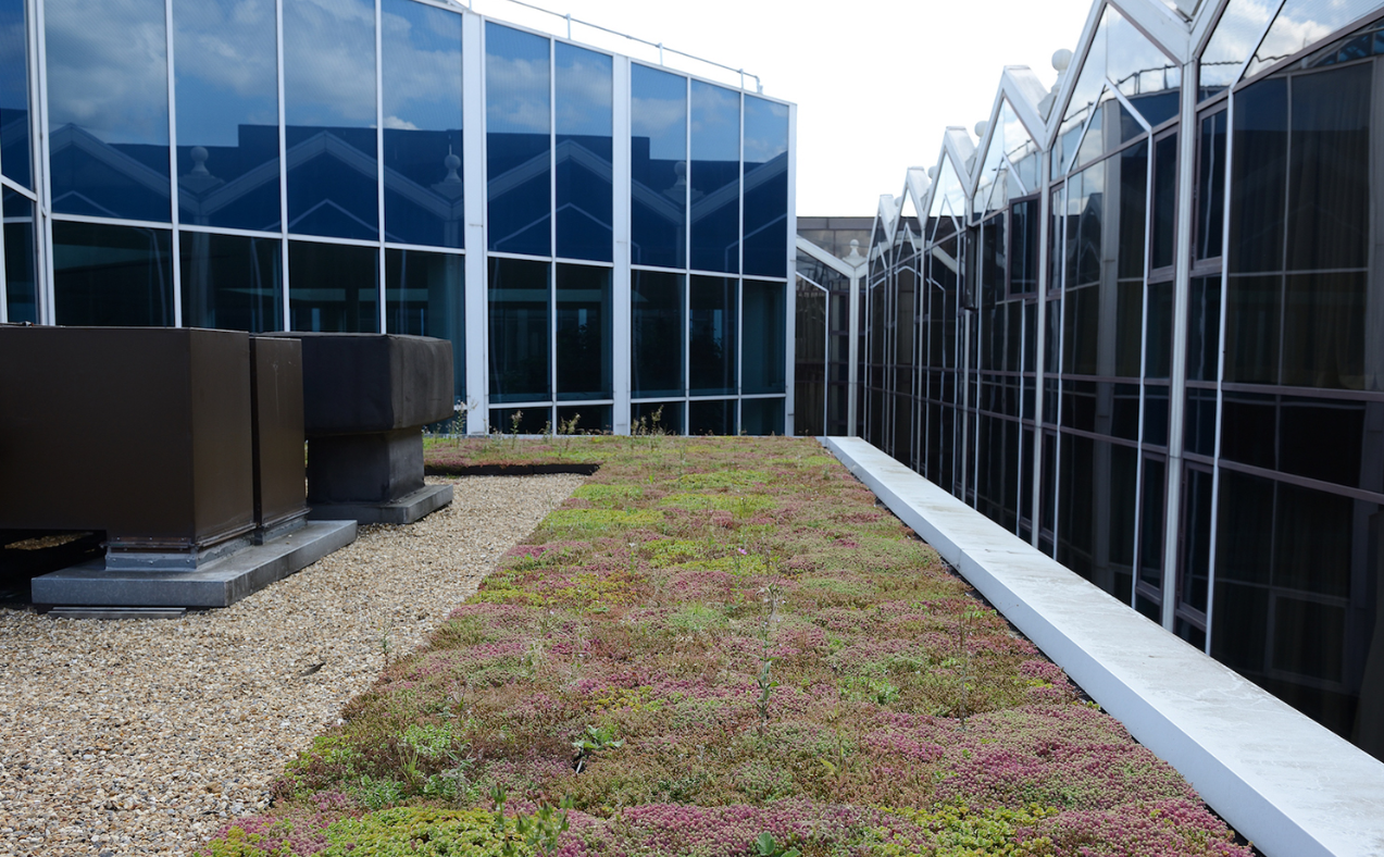 How Does The Appliance of Science Deliver Green Roof Success