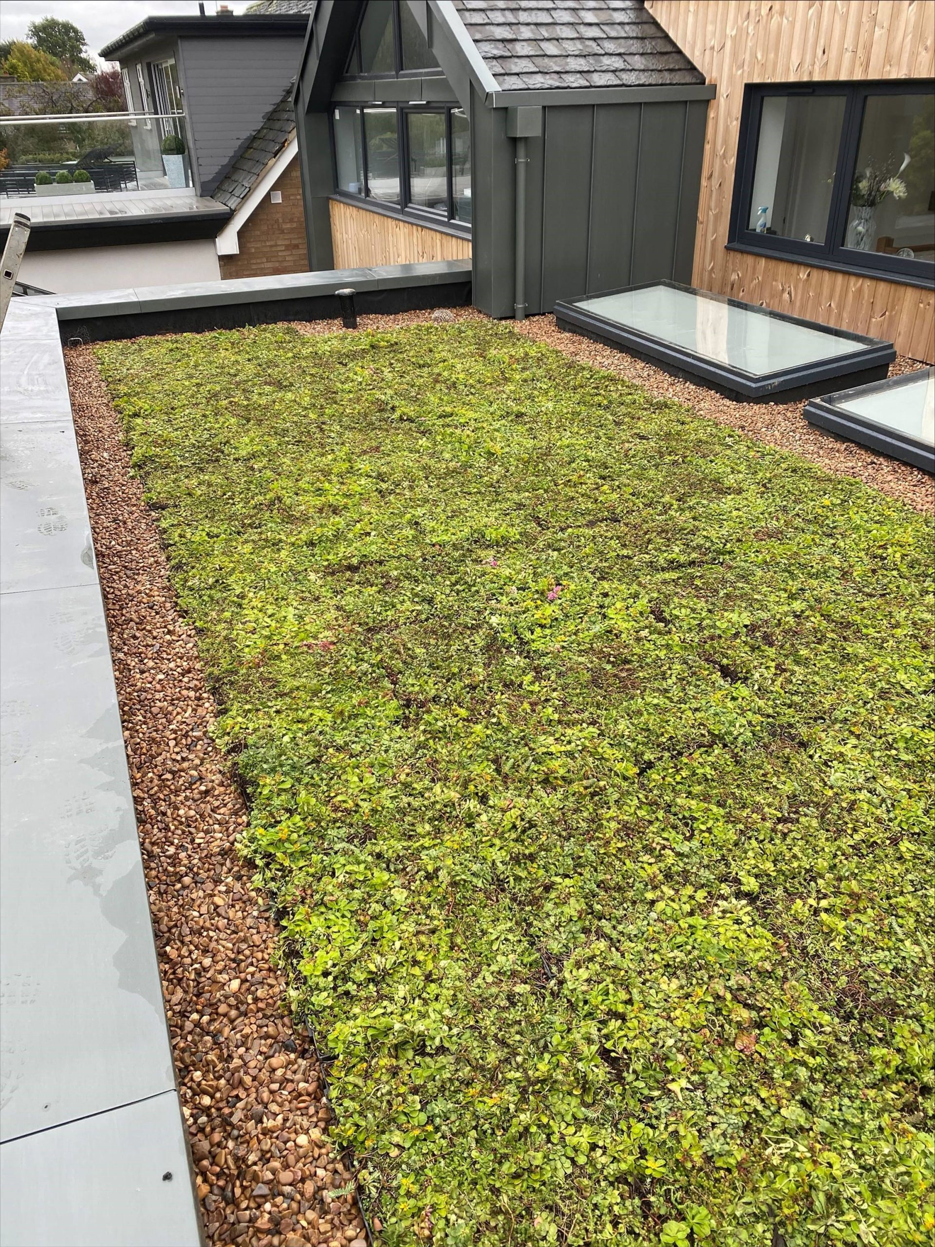 M-Tray sedum green roof domestic