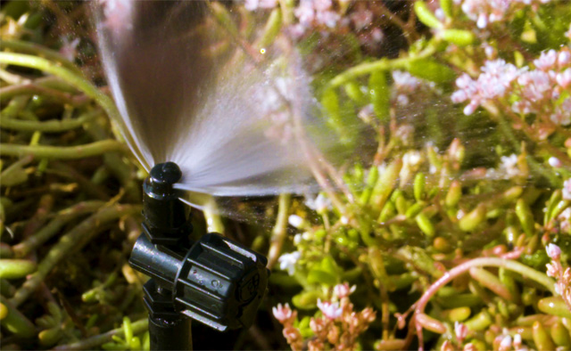 Green Roof Irrigation System - Installation guide