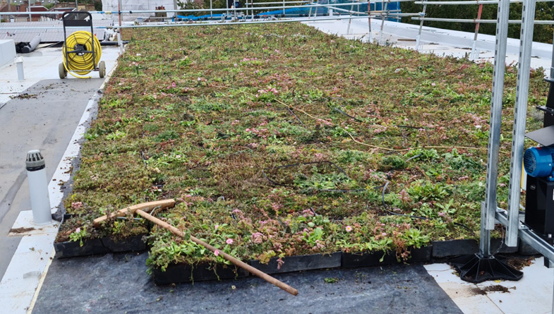 Close-Up-of-Wildflower-M-Tray-&-Geotextile--on-Roof-of-Turing-House---Pic-1