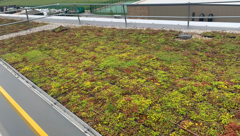 A Guide to Modular Green Roofs