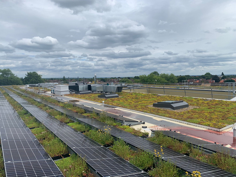 Green roofs are being added to 30 bus stops in Singapore