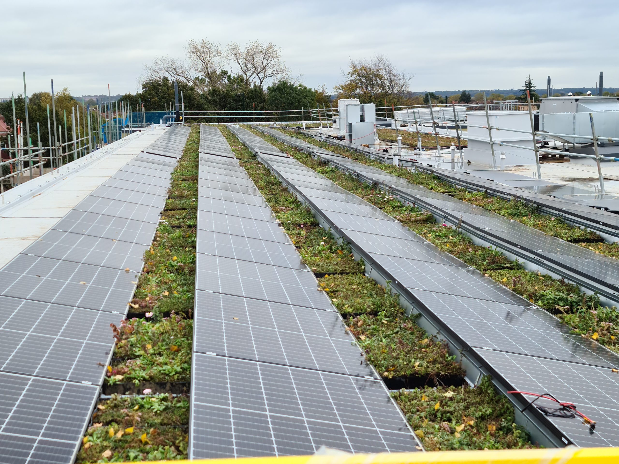 Solar Panels on Wildflower M-Tray on Roof of Turing House - Wallbarn