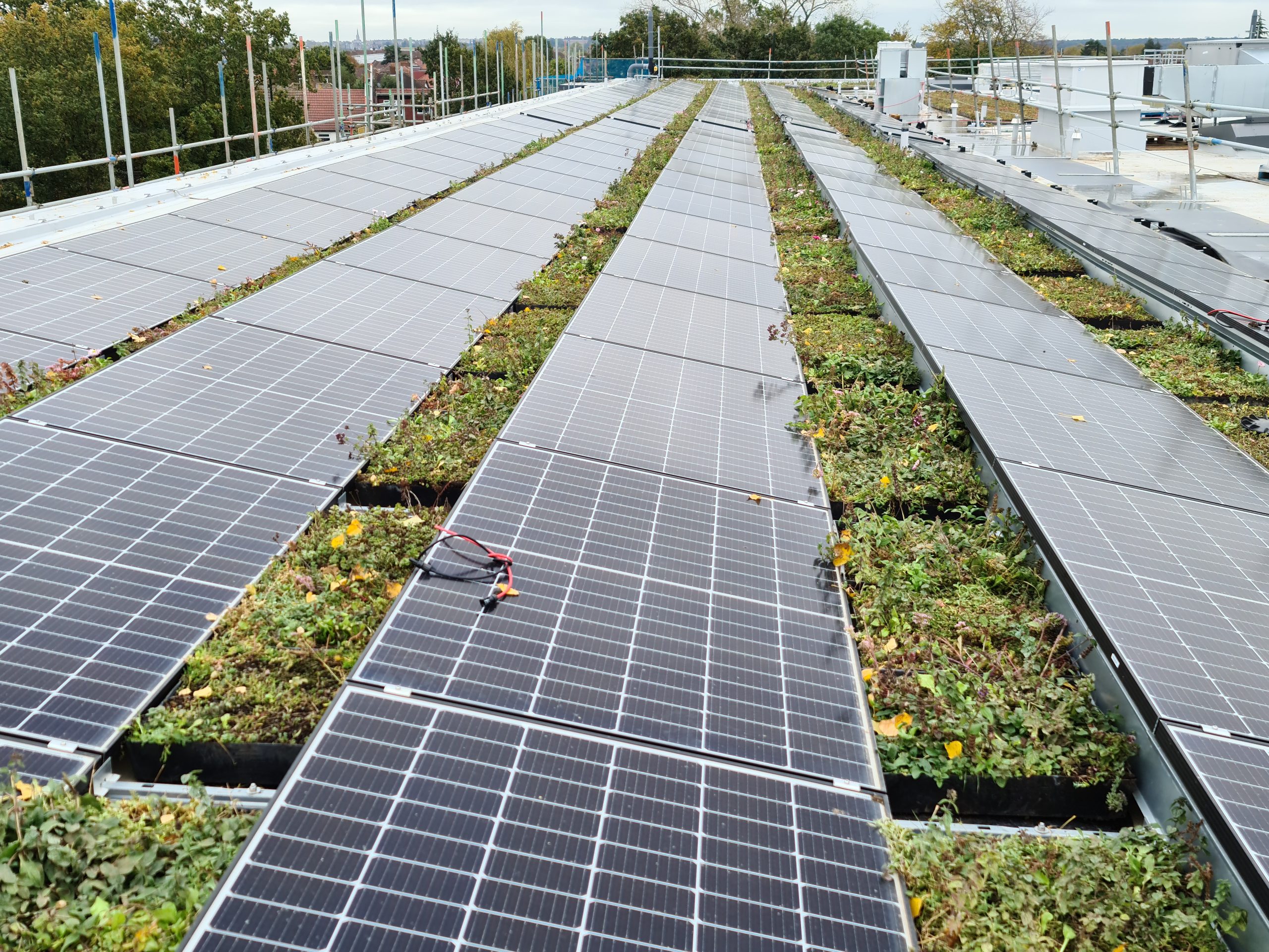 Solar Panels on Wildflower M-Tray on Roof of Turing House