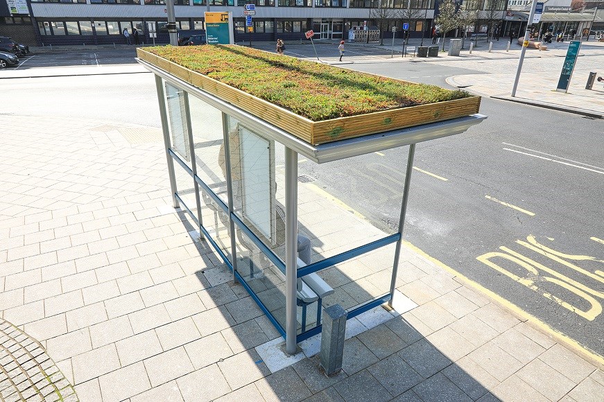 Buzz stops: bus shelter roofs turned into gardens for bees and butterflies