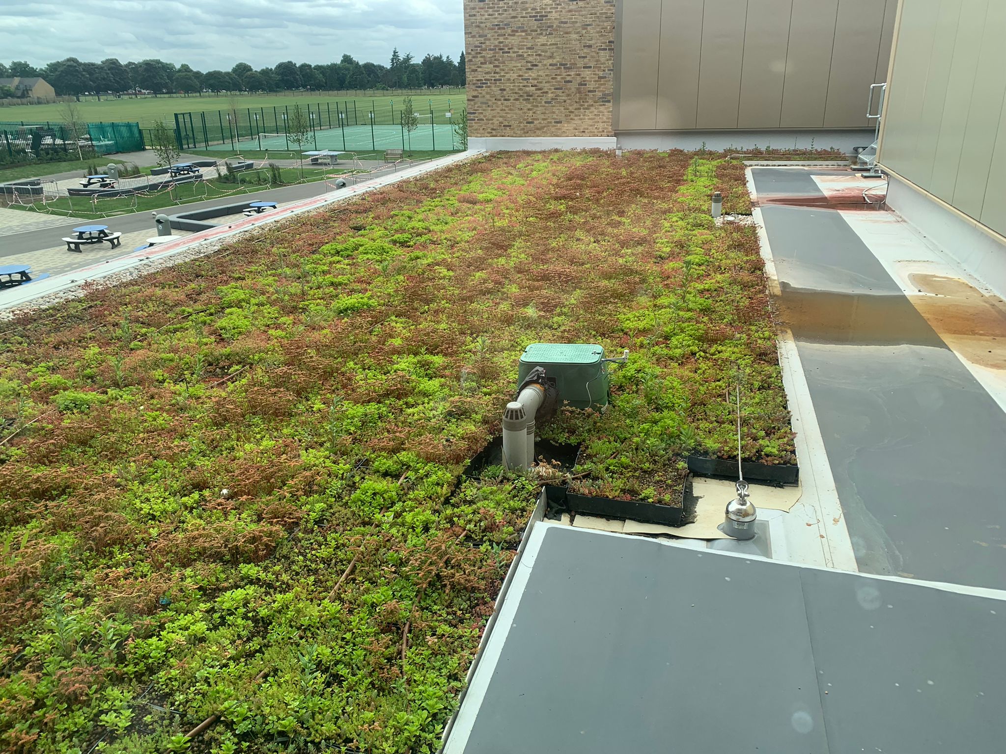 The Benefits of Wallbarn’s M-Tray® Modular Green Roof System
