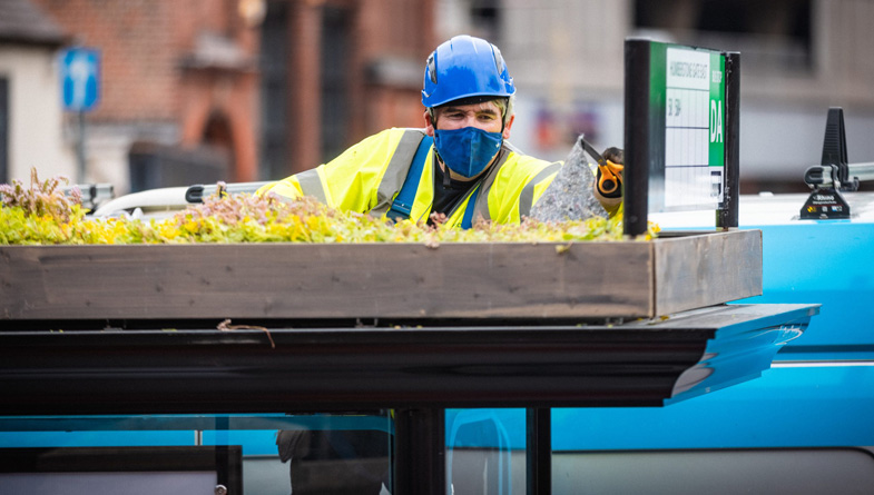 Bee buzz stop green roof Leicester