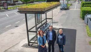 M-Tray® Bee Bus Stop in Derby