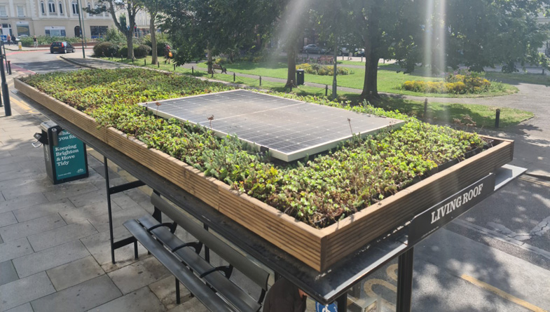 Bee bus stop green roof Brighton