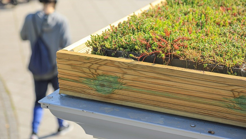 Body to promote green roofs