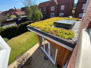 A small green roof on a conservatory