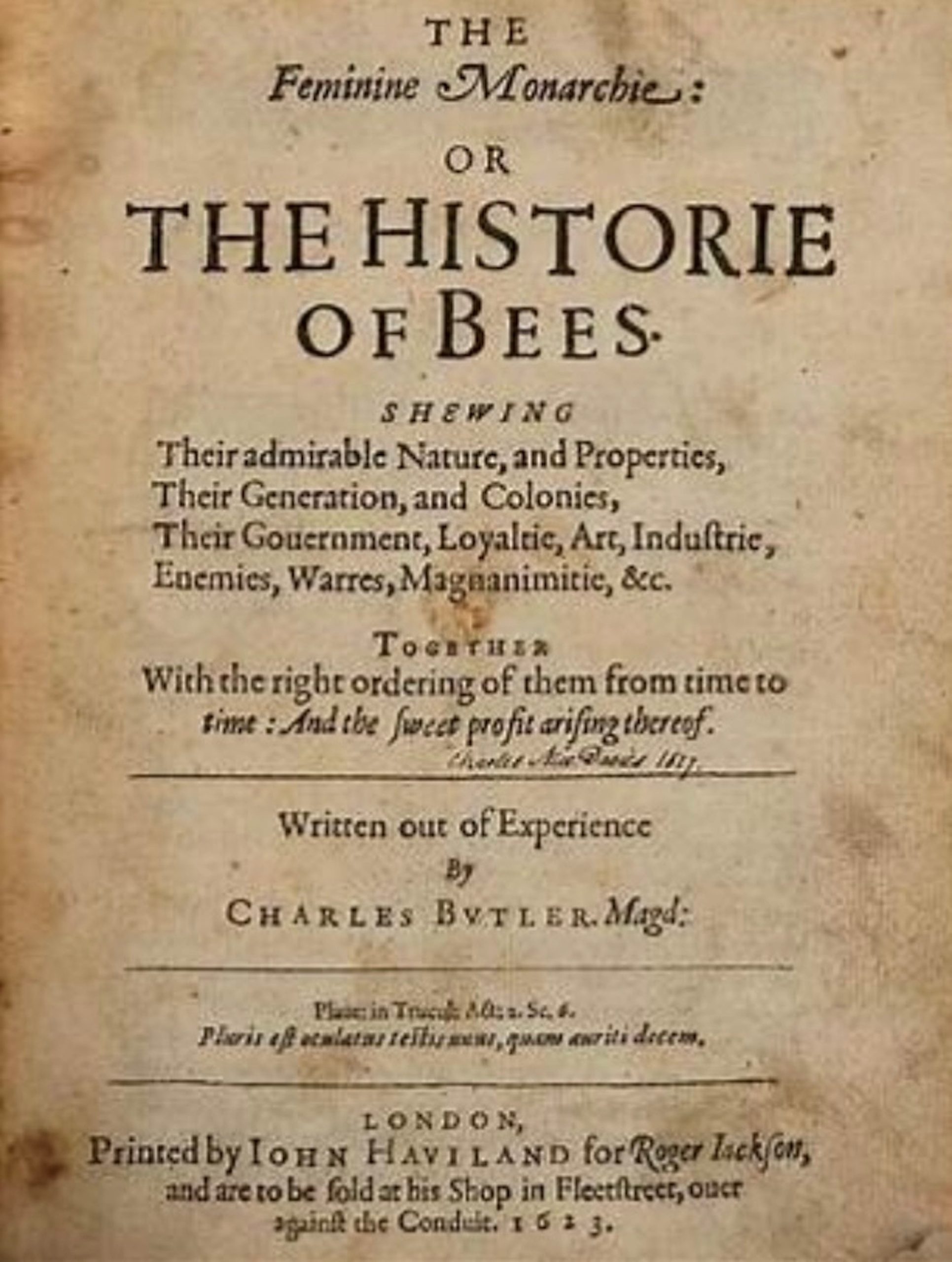 Bee Fact – Number 1