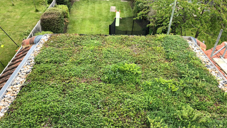 Overcoming Common Challenges in Green Roof Maintenance: Tips and Techniques