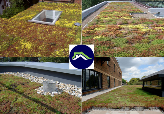 Harnessing the Power of Green Roofs: A Deep Dive into Wallbarn’s Green Roof Systems
