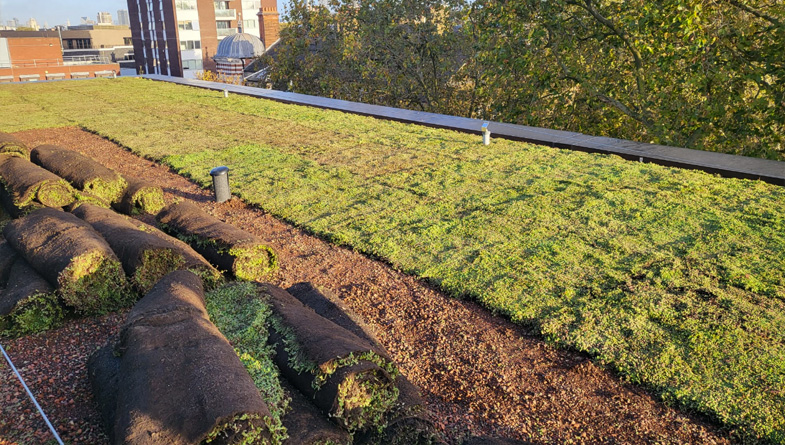 The Top 5 Benefits Of A Rollout Green Roof System