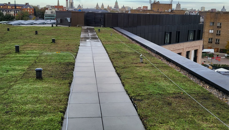 Wallbarn: Reimagining Urban Landscapes with Innovative Green Roof Systems