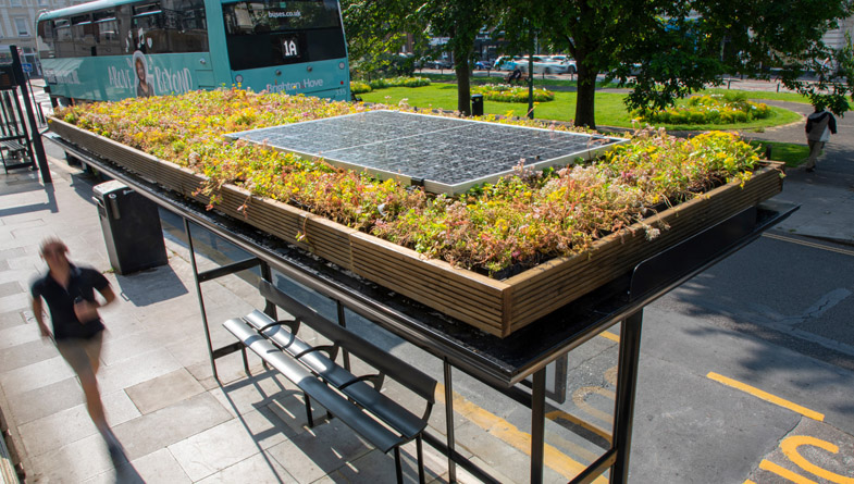 Aerial-picture-of-Sedum-M-Tray-on-Clear-Channel-Bus-Shelter-BRIGHTON-1