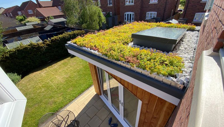 M-Tray-green-roof-domestic-extension