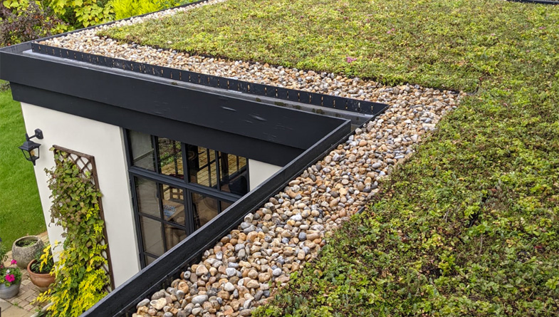 What Is the Difference Between Extensive and Intensive Green Roofs?