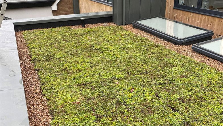 M-Tray-sedum-green-roof-domestic-scaled