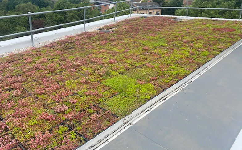 Turing-House-Wildflower-M-Tray-near-Rooftop-Rail-Pic-30