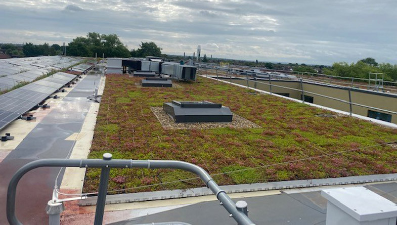 Turing-House-Wildflower-M-Tray-near-Solar-Panels-Pic-31-1