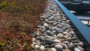 Wallbarn Edging Trim with Pebbles on Green Roof