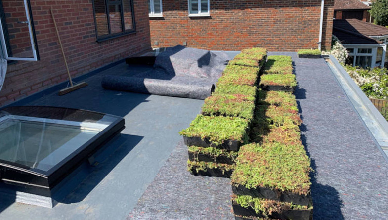 How Green Roofs Can Boost Wellbeing