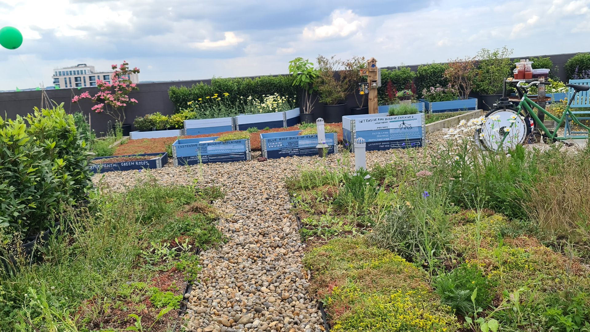 YMCA Green Roof Milton Keynes