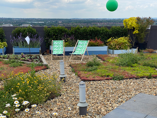 Why Choose M-Tray® Modular Green Roof Systems for Your Next Roofing Project?