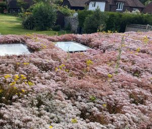 Modular Green Roof on a residential property
