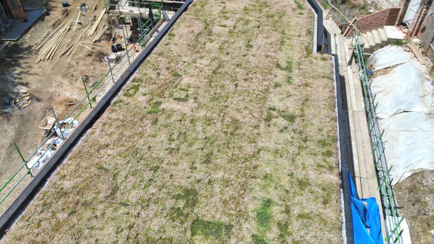 Wallbarn Green Roof Project - Wiltshire 06