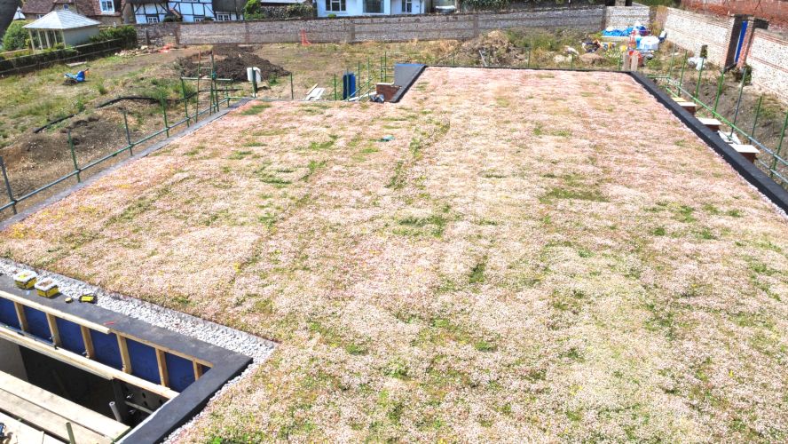 Wallbarn Green Roof Project - Wiltshire 08