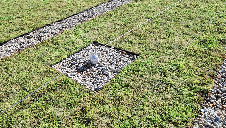 Wallbarn-M-Tray-Modular-Green-Roof-Project-04