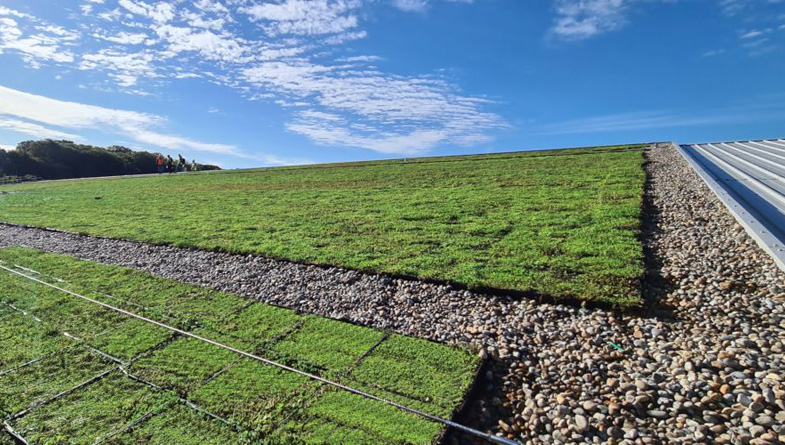 Wallbarn-M-Tray-Modular-Green-Roof-Project-06