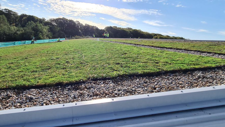 Wallbarn-M-Tray-Modular-Green-Roof-Project-07
