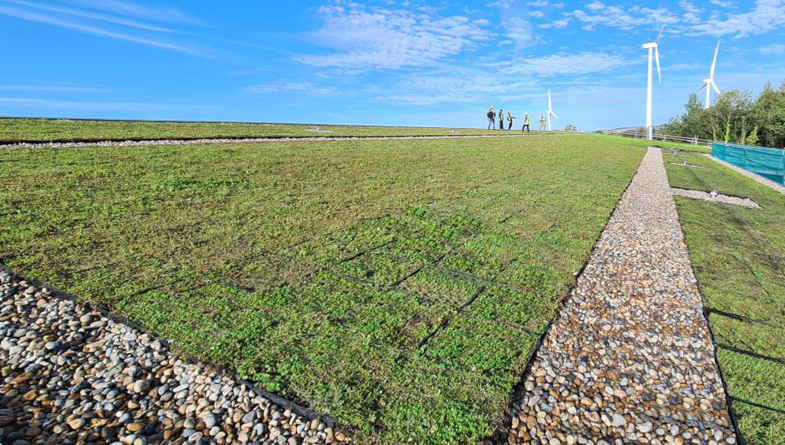 Wallbarn-M-Tray-Modular-Green-Roof-Project-08