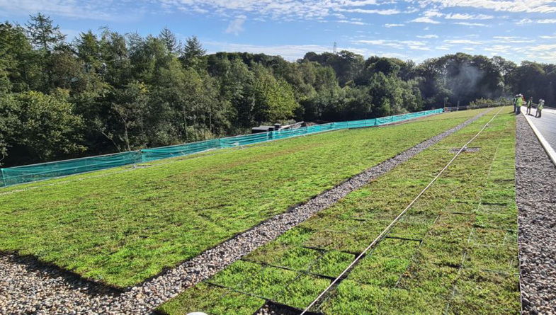Wallbarn-M-Tray-Modular-Green-Roof-Project-10