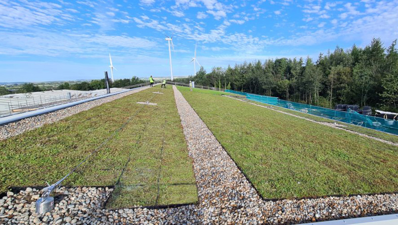 Wallbarn-M-Tray-Modular-Green-Roof-Project-11