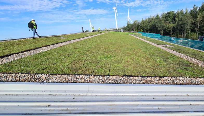 Wallbarn-M-Tray-Modular-Green-Roof-Project-12